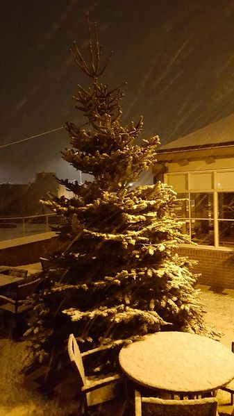 Bestand:Evertsen 12-1-17.jpg