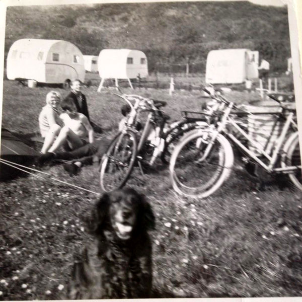 Bestand:Camping Vos.jpg